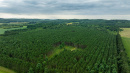 DJI_20250822090122_0994_D.jpg