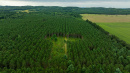 DJI_20250822090139_0995_D.jpg