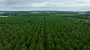 DJI_20250822090526_0004_D.jpg