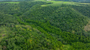 DJI_20250822115148_0011_D.jpg
