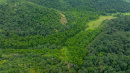 DJI_20250822115204_0012_D.jpg