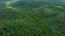 DJI_20250822115341_0015_D.jpg