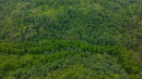DJI_20250822115430_0018_D.jpg