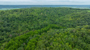 DJI_20250822115451_0019_D.jpg