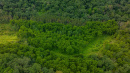 DJI_20250822115526_0022_D.jpg