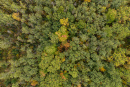 DJI_20250914083104_0038_D-HDR.jpg