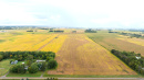 DJI_20250919102320_0149_D.JPG