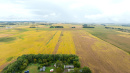 DJI_20250919102354_0151_D.JPG