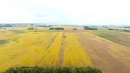 DJI_20250919102408_0152_D.JPG