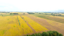DJI_20250919102426_0153_D.JPG