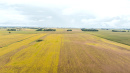 DJI_20250919102508_0155_D.JPG