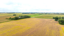 DJI_20250919102519_0156_D.JPG