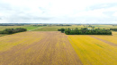 DJI_20250919102538_0157_D.JPG
