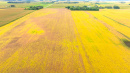 DJI_20250919102610_0158_D.JPG