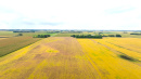 DJI_20250919102631_0159_D.JPG