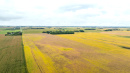 DJI_20250919102716_0161_D.JPG