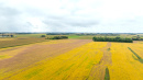 DJI_20250919102804_0163_D.JPG