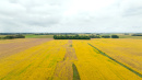 DJI_20250919102813_0164_D.JPG