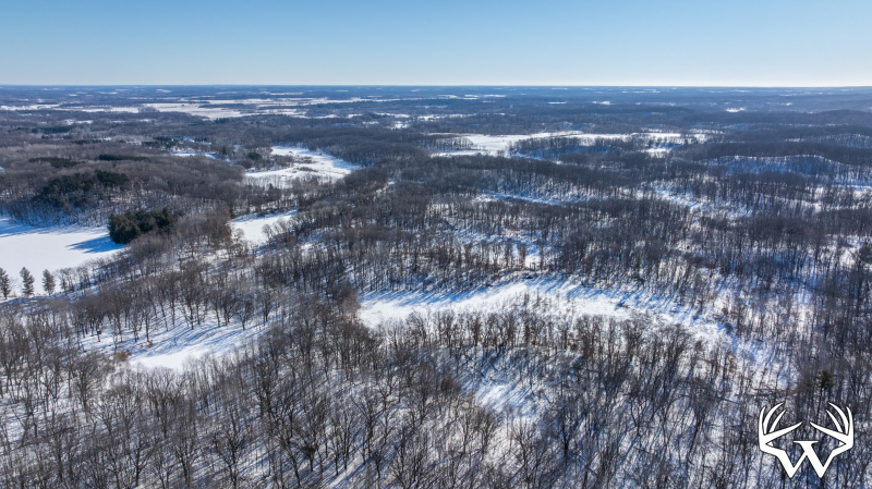 DJI_20260130114939_0256_D.jpg