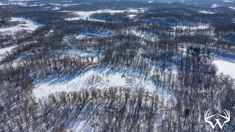 DJI_20260130115016_0258_D.jpg
