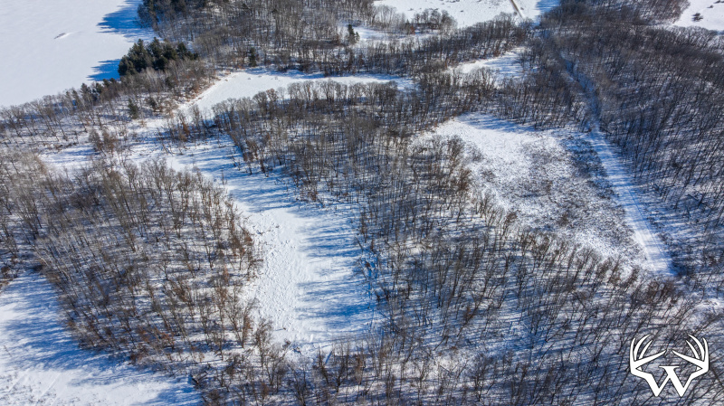 DJI_20260130115136_0261_D.jpg