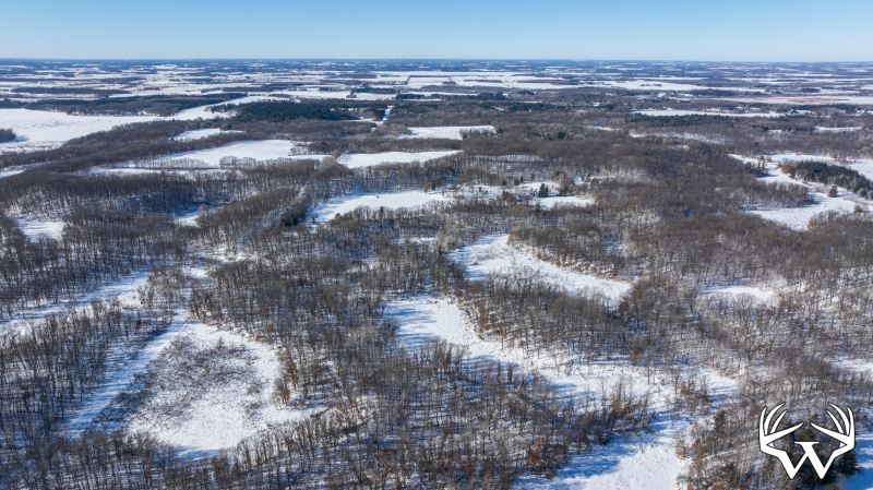 DJI_20260130115244_0262_D.jpg