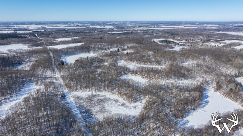 DJI_20260130115312_0263_D.jpg