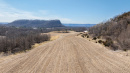 DJI_20260331143350_0533_D_1.jpg