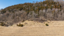 DJI_20260331143358_0534_D_1.jpg