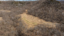 DJI_20260331143444_0536_D_1.jpg