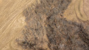 DJI_20260331143456_0537_D_1.jpg