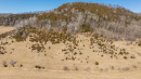 DJI_20260331143515_0538_D_1.jpg