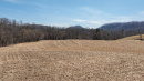 DJI_20260331143536_0540_D_1.jpg