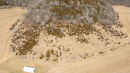 DJI_20260331143757_0544_D_1.jpg