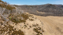 DJI_20260331143827_0545_D_1.jpg