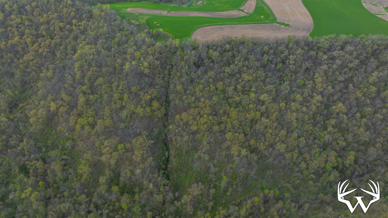 DJI_20260429151659_0917_D_1.jpg