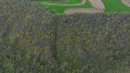 DJI_20260429151659_0917_D_1.jpg