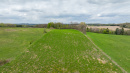 DJI_20260505161409_0031_D.jpg