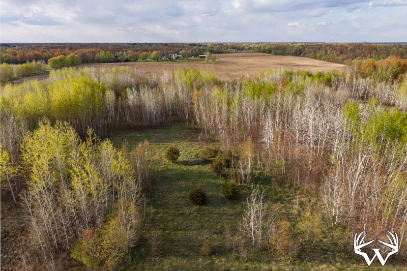 DJI_20260507183853_0148_D-HDR_1.jpg