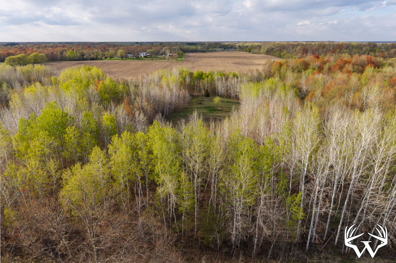 DJI_20260507183908_0153_D-HDR_1.jpg