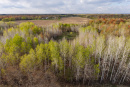 DJI_20260507183908_0153_D-HDR_1.jpg
