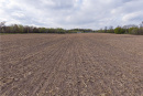 DJI_20260507184754_0248_D-HDR.jpg