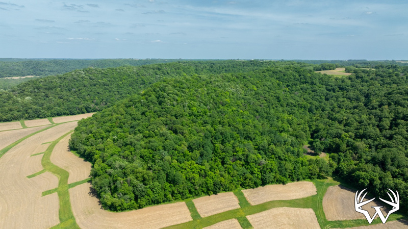 DJI_20260603155319_0238_D.jpg