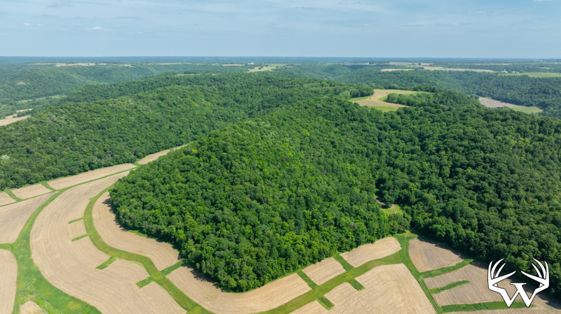 DJI_20260603155341_0239_D.jpg