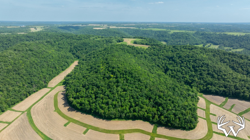 DJI_20260603155418_0241_D.jpg