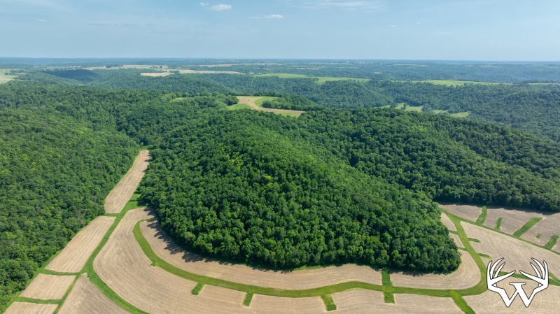 DJI_20260603155433_0242_D.jpg