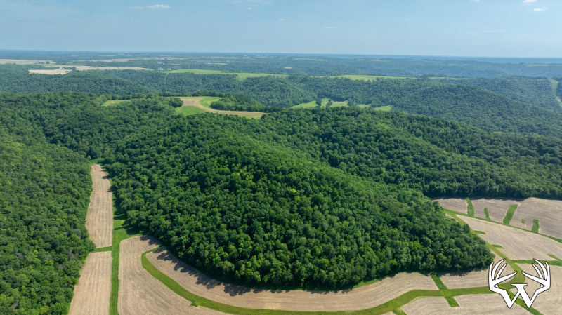 DJI_20260603155517_0244_D.jpg