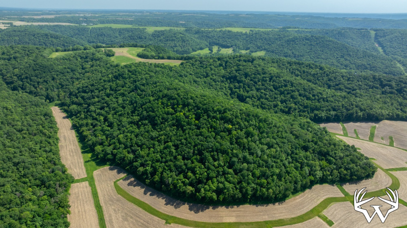 DJI_20260603155529_0245_D.jpg