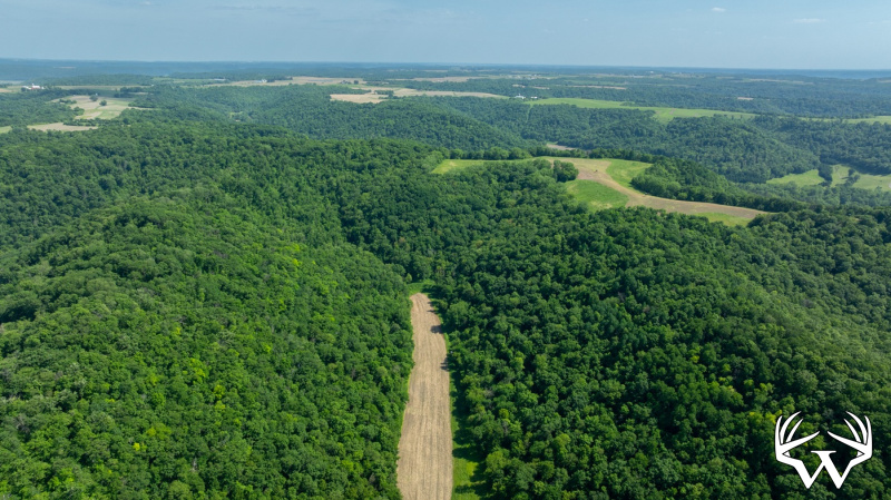 DJI_20260603155548_0246_D.jpg