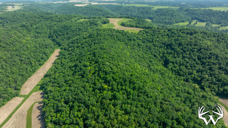 DJI_20260603155642_0249_D.jpg